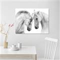 Picture of Face Off Horses _GroupedProduct_Rectangle_Landscape_Photography _GroupedProduct_Rectangle_Landscape_Canvas_