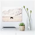 Picture of Horse in Field  _GroupedProduct_Rectangle_Landscape_Photography _GroupedProduct_Rectangle_Landscape_Canvas_