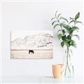 Picture of Horse in Field  _GroupedProduct_Rectangle_Landscape_Photography _GroupedProduct_Rectangle_Landscape_Canvas_