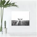 Picture of Field Sheep  _GroupedProduct_Rectangle_Landscape_Photography _GroupedProduct_Rectangle_Landscape_Canvas_