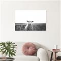 Picture of Field Sheep  _GroupedProduct_Rectangle_Landscape_Photography _GroupedProduct_Rectangle_Landscape_Canvas_