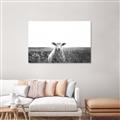 Picture of Field Sheep  _GroupedProduct_Rectangle_Landscape_Photography _GroupedProduct_Rectangle_Landscape_Canvas_