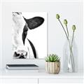 Picture of Side Cow _GroupedProduct_Rectangle_Portrait_Photography _GroupedProduct_Rectangle_Portrait_Canvas_