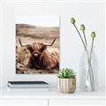 Picture of Furry Brown Cow _GroupedProduct_Rectangle_Portrait_Photography _GroupedProduct_Rectangle_Portrait_Canvas_