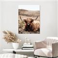 Picture of Furry Brown Cow _GroupedProduct_Rectangle_Portrait_Photography _GroupedProduct_Rectangle_Portrait_Canvas_