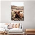 Picture of Furry Brown Cow _GroupedProduct_Rectangle_Portrait_Photography _GroupedProduct_Rectangle_Portrait_Canvas_