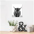 Picture of B&W Highland _GroupedProduct_Rectangle_Portrait_Photography _GroupedProduct_Rectangle_Portrait_Canvas_