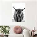Picture of B&W Highland _GroupedProduct_Rectangle_Portrait_Photography _GroupedProduct_Rectangle_Portrait_Canvas_