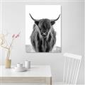 Picture of B&W Highland _GroupedProduct_Rectangle_Portrait_Photography _GroupedProduct_Rectangle_Portrait_Canvas_