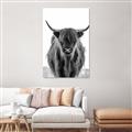Picture of B&W Highland _GroupedProduct_Rectangle_Portrait_Photography _GroupedProduct_Rectangle_Portrait_Canvas_