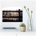 Picture of Farm Fence _GroupedProduct_Rectangle_Landscape_Photography _GroupedProduct_Rectangle_Landscape_Canvas_