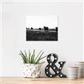 Picture of Cow Field  _GroupedProduct_Rectangle_Landscape_Photography _GroupedProduct_Rectangle_Landscape_Canvas_
