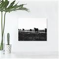Picture of Cow Field  _GroupedProduct_Rectangle_Landscape_Photography _GroupedProduct_Rectangle_Landscape_Canvas_