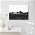 Picture of Cow Field  _GroupedProduct_Rectangle_Landscape_Photography _GroupedProduct_Rectangle_Landscape_Canvas_