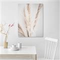 Picture of Whispy Pampas _GroupedProduct_Rectangle_Portrait_Photography _GroupedProduct_Rectangle_Portrait_Canvas_