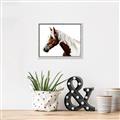 Picture of Spotted Horse _GroupedProduct_Rectangle_Landscape_Photography _GroupedProduct_Rectangle_Landscape_Canvas_Framed_