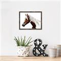 Picture of Spotted Horse _GroupedProduct_Rectangle_Landscape_Photography _GroupedProduct_Rectangle_Landscape_Canvas_Framed_
