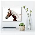 Picture of Spotted Horse _GroupedProduct_Rectangle_Landscape_Photography _GroupedProduct_Rectangle_Landscape_Canvas_Framed_