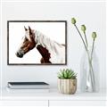 Picture of Spotted Horse _GroupedProduct_Rectangle_Landscape_Photography _GroupedProduct_Rectangle_Landscape_Canvas_Framed_