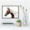Picture of Spotted Horse _GroupedProduct_Rectangle_Landscape_Photography _GroupedProduct_Rectangle_Landscape_Canvas_Framed_