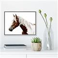Picture of Spotted Horse _GroupedProduct_Rectangle_Landscape_Photography _GroupedProduct_Rectangle_Landscape_Canvas_Framed_