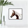 Picture of Spotted Horse _GroupedProduct_Rectangle_Landscape_Photography _GroupedProduct_Rectangle_Landscape_Canvas_Framed_