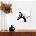 Picture of Spotted Horse _GroupedProduct_Rectangle_Landscape_Photography _GroupedProduct_Rectangle_Landscape_Canvas_Framed_