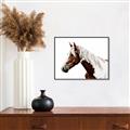 Picture of Spotted Horse _GroupedProduct_Rectangle_Landscape_Photography _GroupedProduct_Rectangle_Landscape_Canvas_Framed_