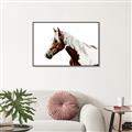 Picture of Spotted Horse _GroupedProduct_Rectangle_Landscape_Photography _GroupedProduct_Rectangle_Landscape_Canvas_Framed_