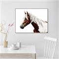 Picture of Spotted Horse _GroupedProduct_Rectangle_Landscape_Photography _GroupedProduct_Rectangle_Landscape_Canvas_Framed_