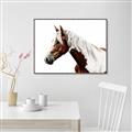 Picture of Spotted Horse _GroupedProduct_Rectangle_Landscape_Photography _GroupedProduct_Rectangle_Landscape_Canvas_Framed_