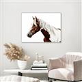 Picture of Spotted Horse _GroupedProduct_Rectangle_Landscape_Photography _GroupedProduct_Rectangle_Landscape_Canvas_Framed_
