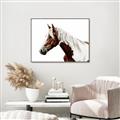 Picture of Spotted Horse _GroupedProduct_Rectangle_Landscape_Photography _GroupedProduct_Rectangle_Landscape_Canvas_Framed_
