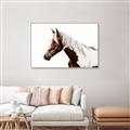 Picture of Spotted Horse _GroupedProduct_Rectangle_Landscape_Photography _GroupedProduct_Rectangle_Landscape_Canvas_Framed_