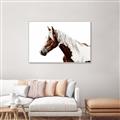 Picture of Spotted Horse _GroupedProduct_Rectangle_Landscape_Photography _GroupedProduct_Rectangle_Landscape_Canvas_Framed_