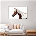 Picture of Spotted Horse _GroupedProduct_Rectangle_Landscape_Photography _GroupedProduct_Rectangle_Landscape_Canvas_Framed_