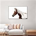Picture of Spotted Horse _GroupedProduct_Rectangle_Landscape_Photography _GroupedProduct_Rectangle_Landscape_Canvas_Framed_