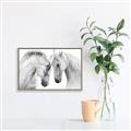 Picture of Face Off Horses _GroupedProduct_Rectangle_Landscape_Photography _GroupedProduct_Rectangle_Landscape_Canvas_Framed_