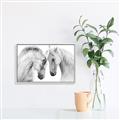 Picture of Face Off Horses _GroupedProduct_Rectangle_Landscape_Photography _GroupedProduct_Rectangle_Landscape_Canvas_Framed_