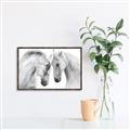 Picture of Face Off Horses _GroupedProduct_Rectangle_Landscape_Photography _GroupedProduct_Rectangle_Landscape_Canvas_Framed_