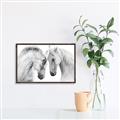 Picture of Face Off Horses _GroupedProduct_Rectangle_Landscape_Photography _GroupedProduct_Rectangle_Landscape_Canvas_Framed_