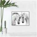 Picture of Face Off Horses _GroupedProduct_Rectangle_Landscape_Photography _GroupedProduct_Rectangle_Landscape_Canvas_Framed_