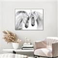 Picture of Face Off Horses _GroupedProduct_Rectangle_Landscape_Photography _GroupedProduct_Rectangle_Landscape_Canvas_Framed_