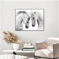Picture of Face Off Horses _GroupedProduct_Rectangle_Landscape_Photography _GroupedProduct_Rectangle_Landscape_Canvas_Framed_