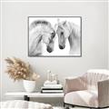 Picture of Face Off Horses _GroupedProduct_Rectangle_Landscape_Photography _GroupedProduct_Rectangle_Landscape_Canvas_Framed_