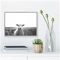 Picture of Field Sheep  _GroupedProduct_Rectangle_Landscape_Photography _GroupedProduct_Rectangle_Landscape_Canvas_Framed_