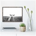 Picture of Field Sheep  _GroupedProduct_Rectangle_Landscape_Photography _GroupedProduct_Rectangle_Landscape_Canvas_Framed_