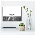 Picture of Field Sheep  _GroupedProduct_Rectangle_Landscape_Photography _GroupedProduct_Rectangle_Landscape_Canvas_Framed_
