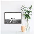 Picture of Field Sheep  _GroupedProduct_Rectangle_Landscape_Photography _GroupedProduct_Rectangle_Landscape_Canvas_Framed_