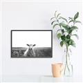 Picture of Field Sheep  _GroupedProduct_Rectangle_Landscape_Photography _GroupedProduct_Rectangle_Landscape_Canvas_Framed_